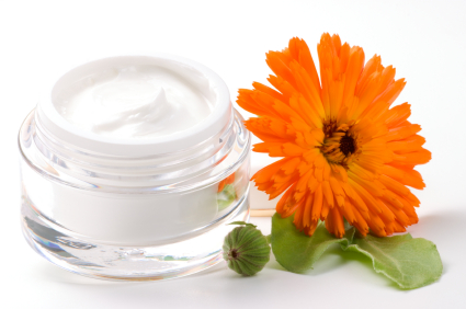 Face cream and calendula flower